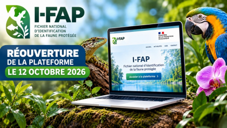 I-FAP : la plateforme du fichier national d’identification de la faune protégée rouvre le 12 octobre 2026