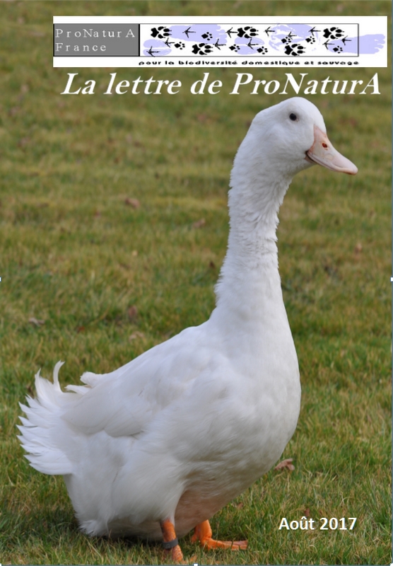Bourbourg
