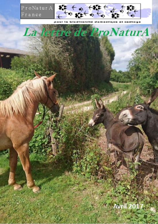 Lettre 2017 1