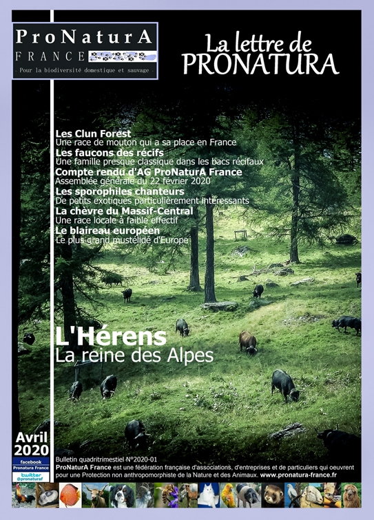 Lettre 2020 1