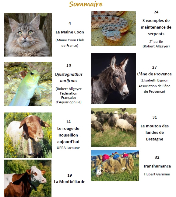 Sommaire Lettre 2019 3