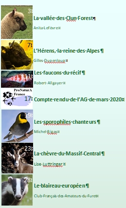 Sommaire 2020-1