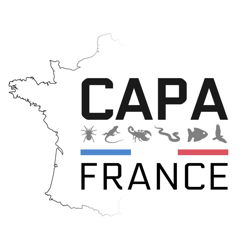 Capafrance2