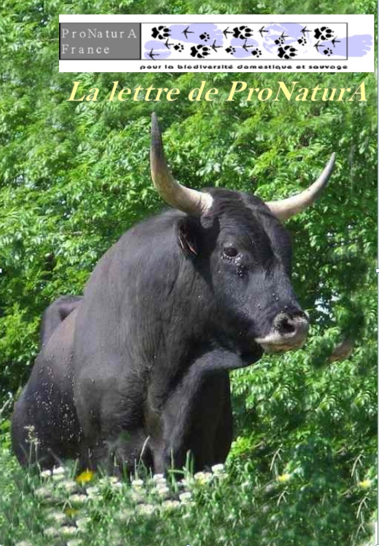 Lettre 2017 3