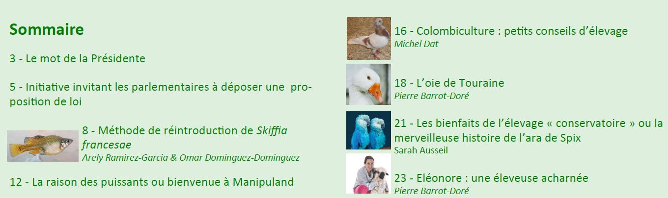 Sommaire 2022 2