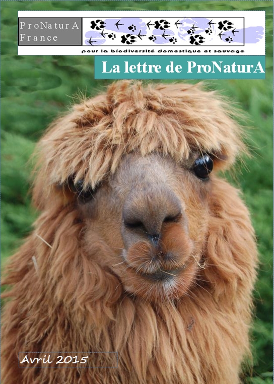 Lettre 2015 1