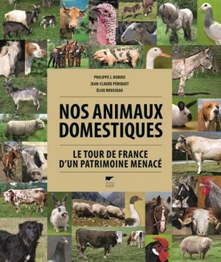 animaux domestiques GT