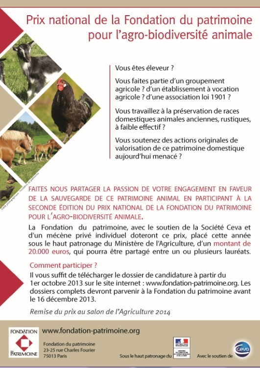 Fondation du patrimoine 2013