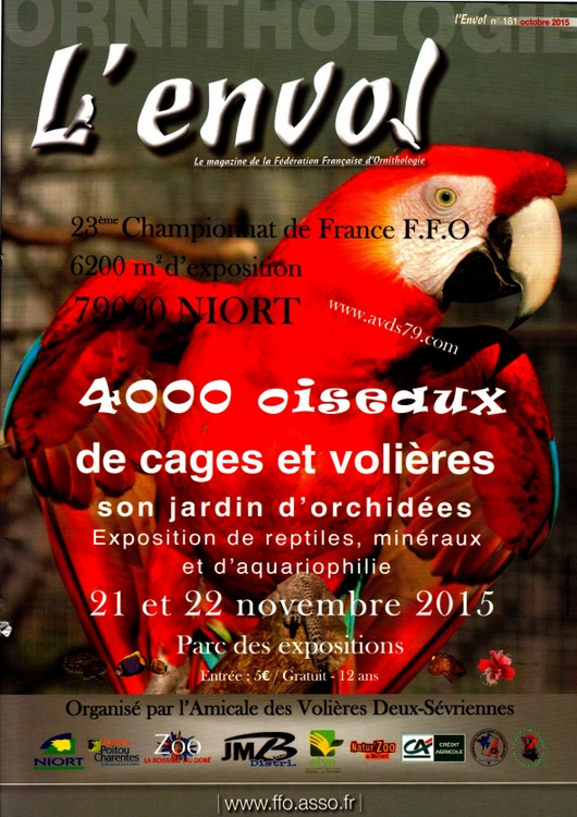 Envol181