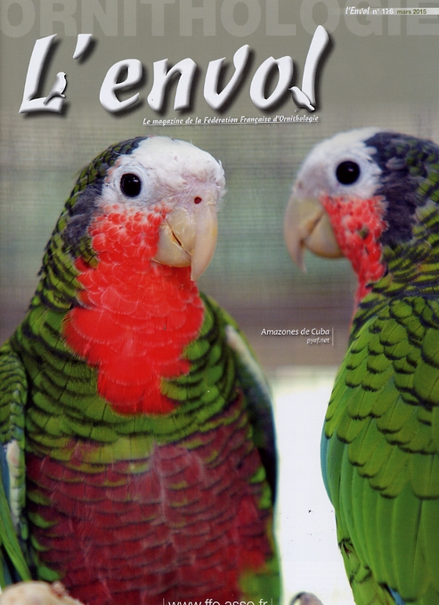 Envol 176