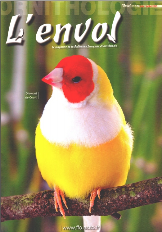Envol 179