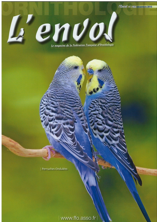Envol 183