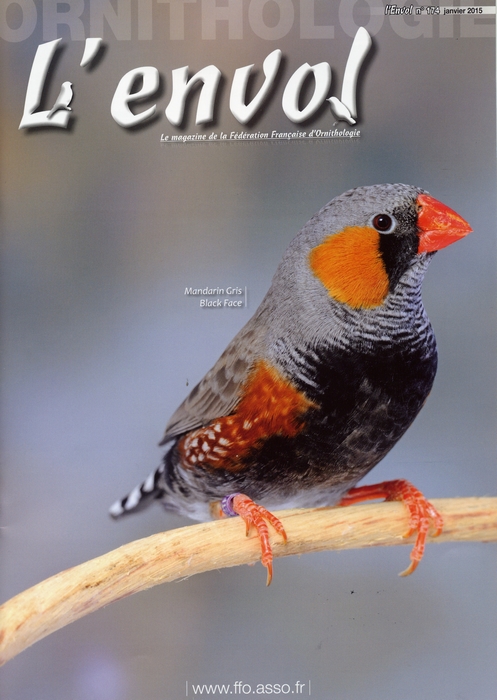 envol 174