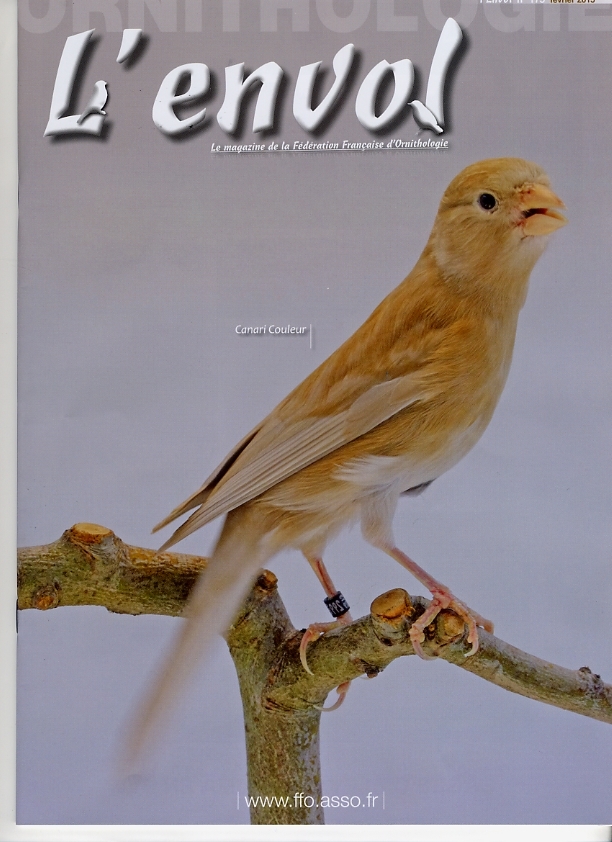 envol 175