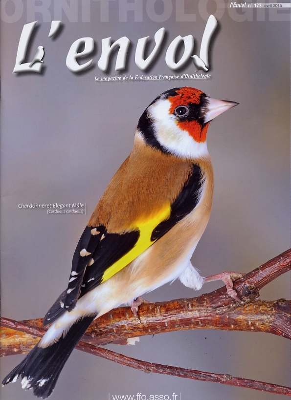 envol 177