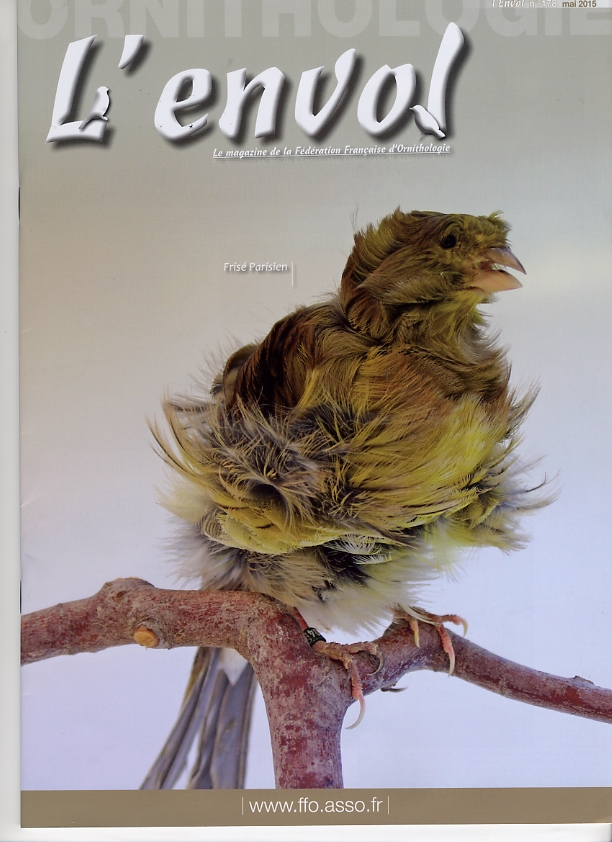 envol 178