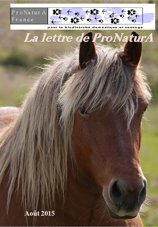 Lettre 2015 2